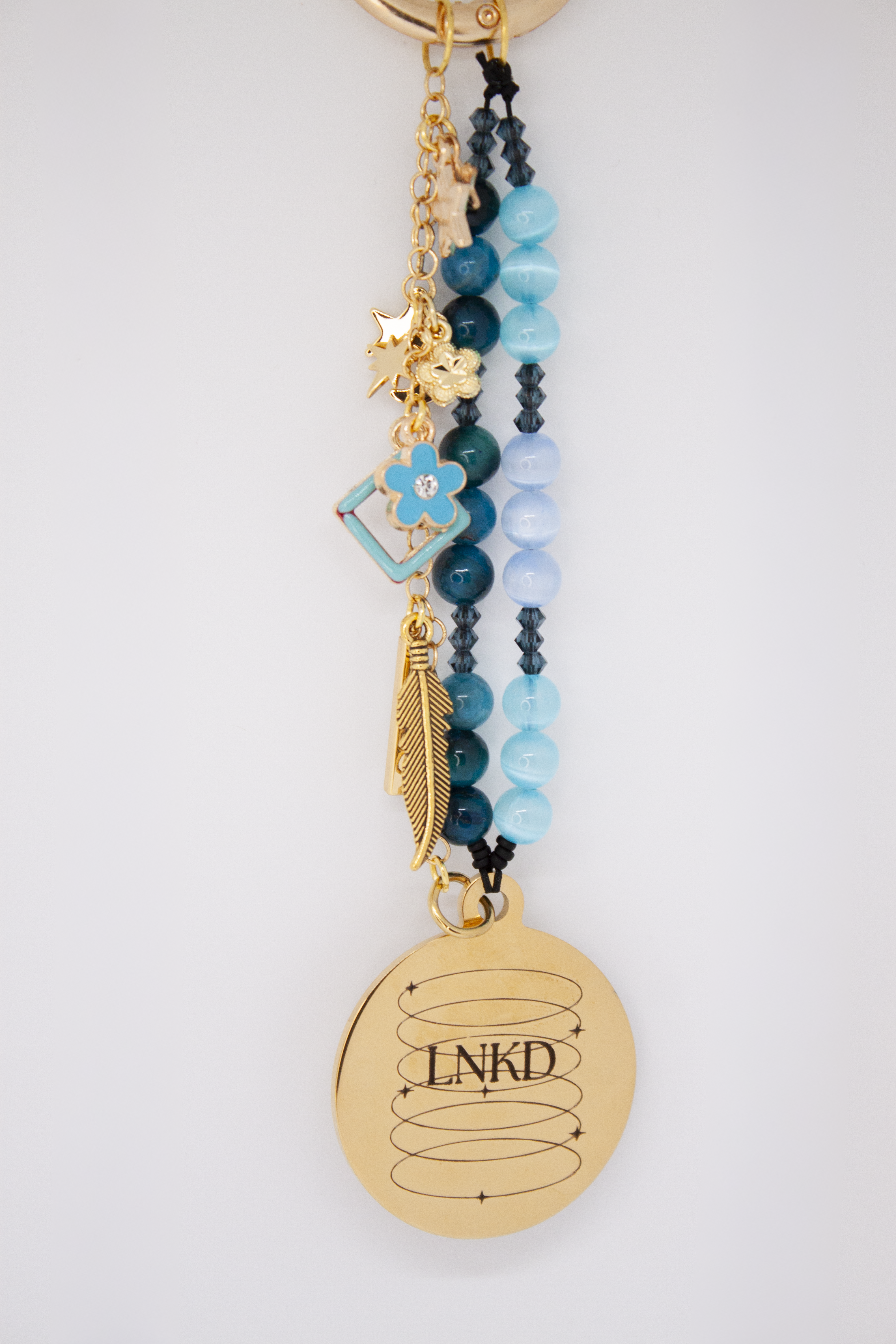 Use Your Voice [5.5]